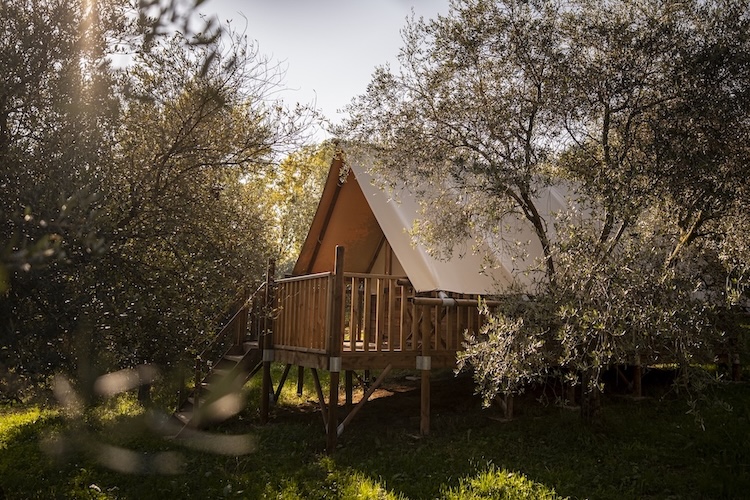 eco lodge, glamping, olive trees
