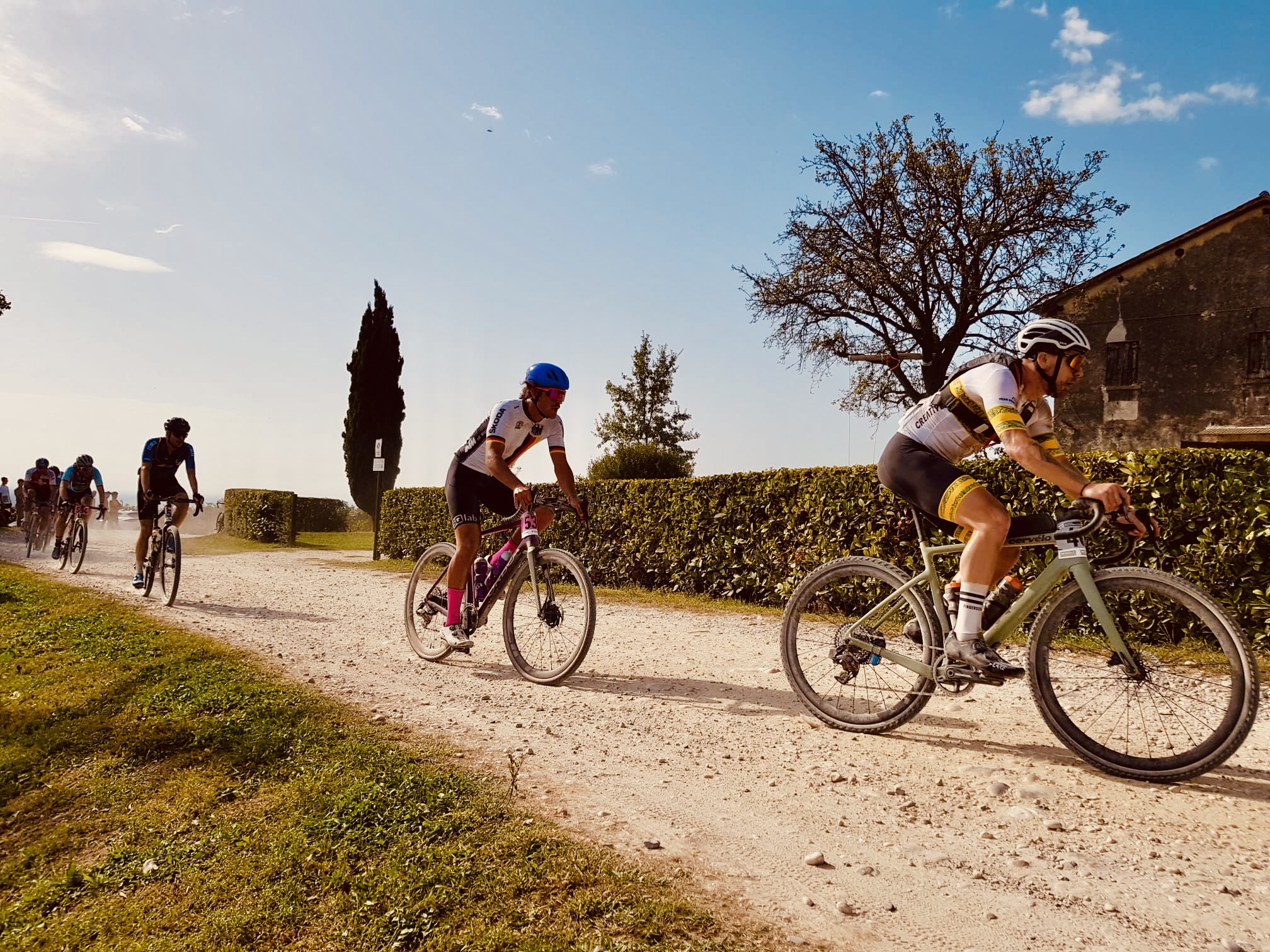 314edf9c-10c7-4a31-95e1-3c4cbb5bfa98 (3)