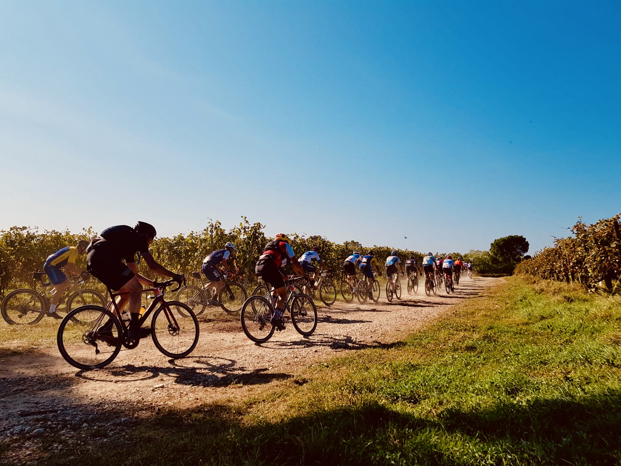 b56598fa-b9d1-4c3b-96b4-5afd31b401a3 (1)